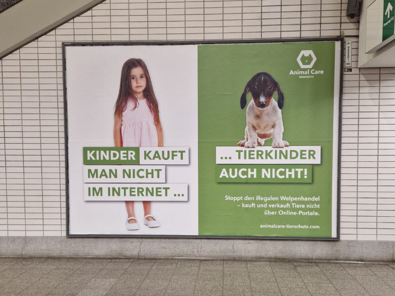 Plakatkampage_Welpenhandel_HH.jpg