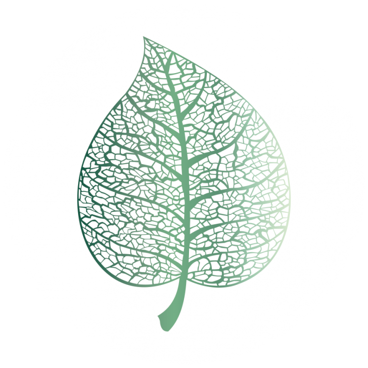 blatt_steitz_beratung_logo.png