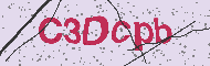 Ungültiger Sicherheitscode